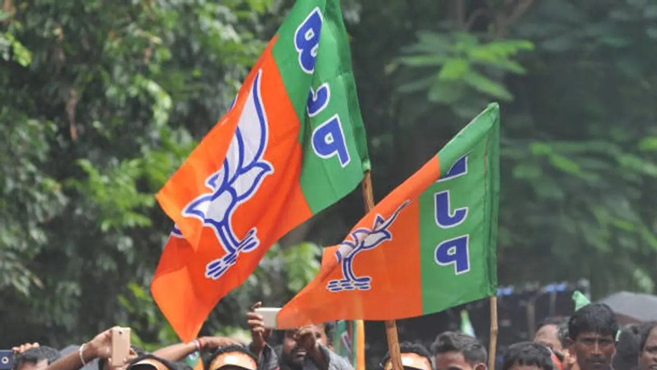 bjp flag