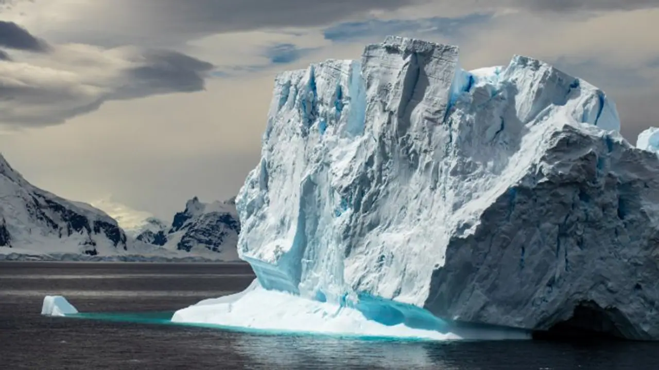 Antarctica Antarctica