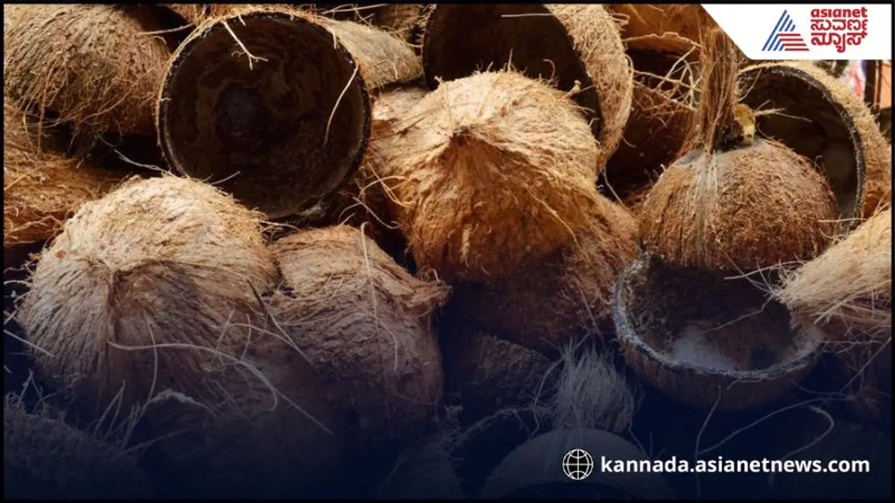 coconut shells coconut shells