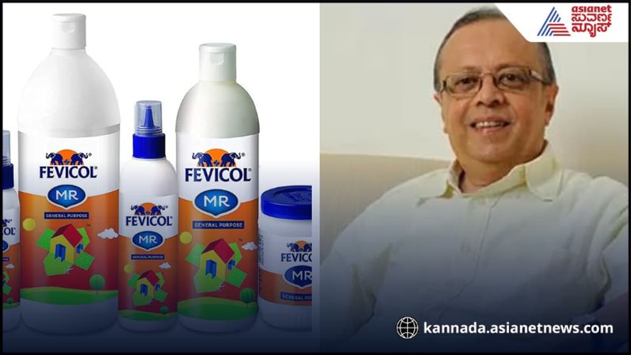 Fevicol 
