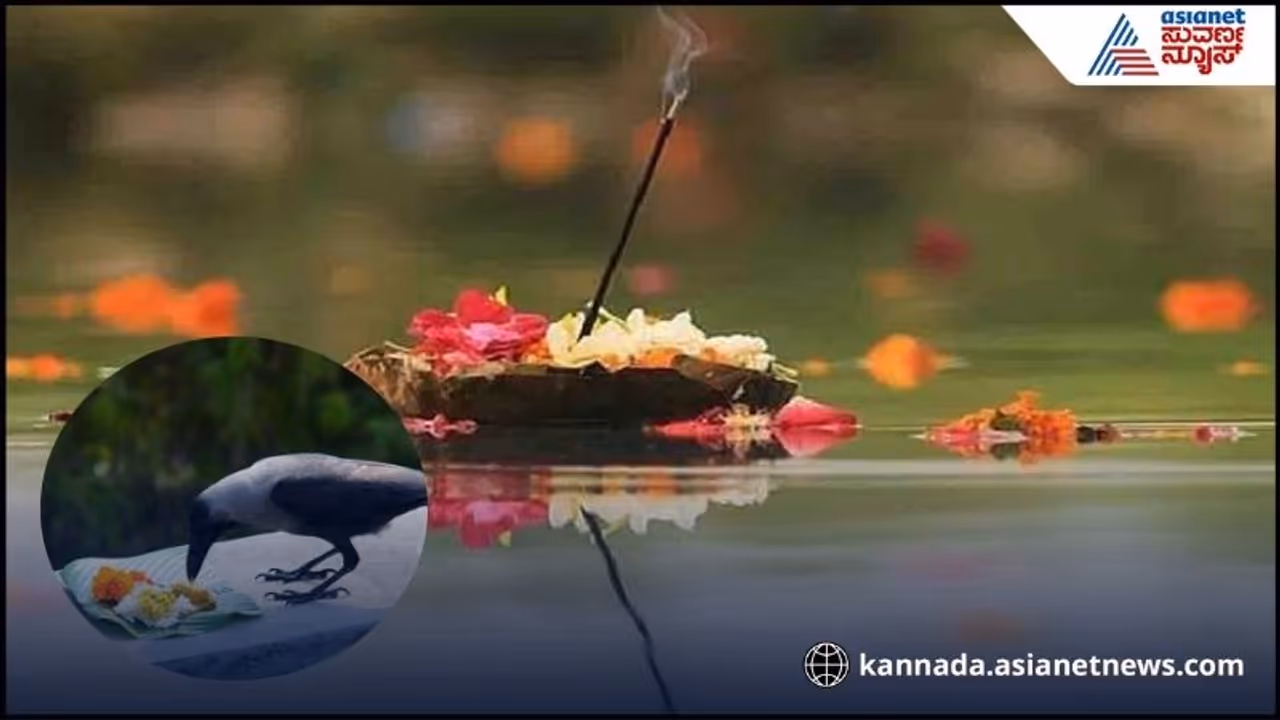 Pitru Paksha Pitru Dosh