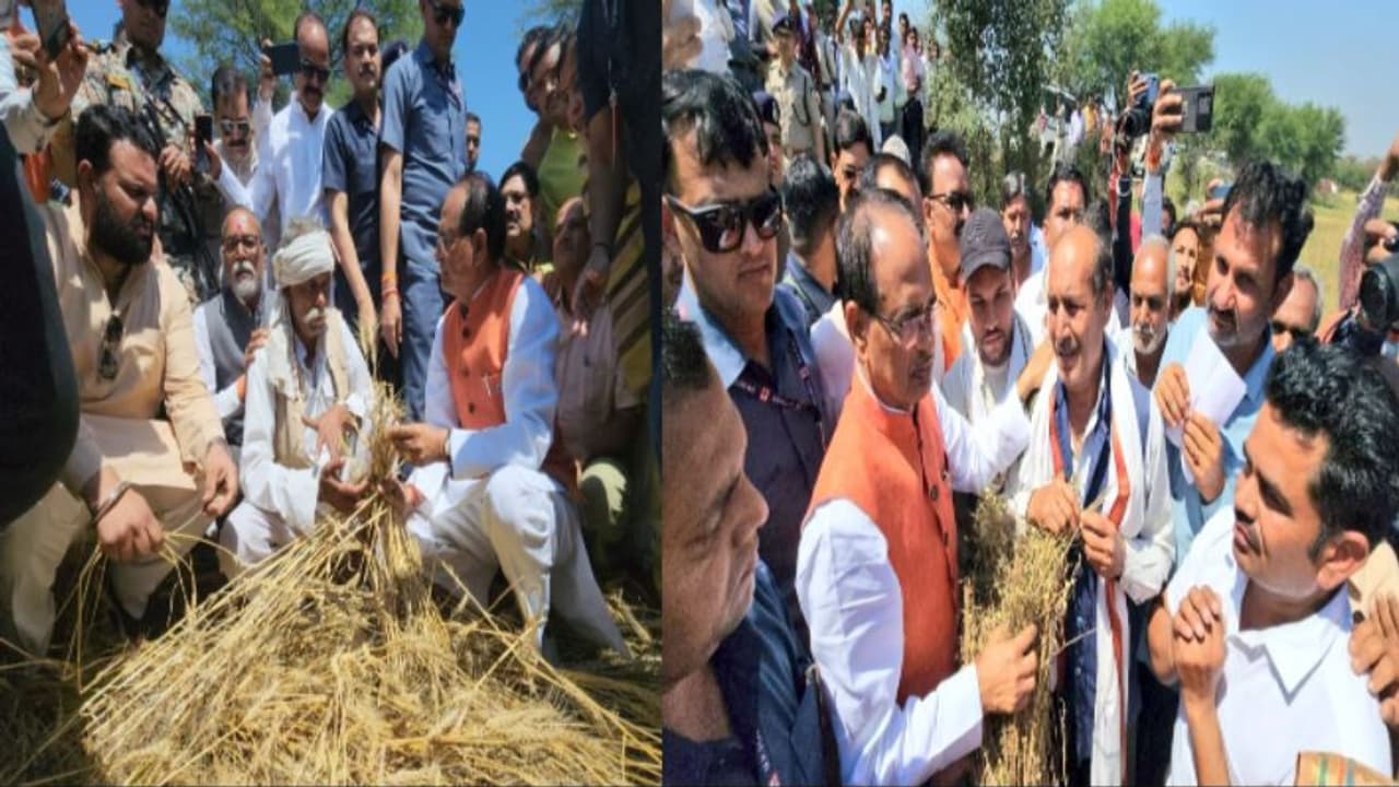 cm met farmer 