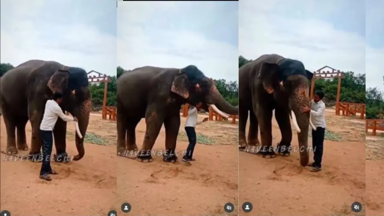 Elephant Abhimanyu and his Mahout reunion