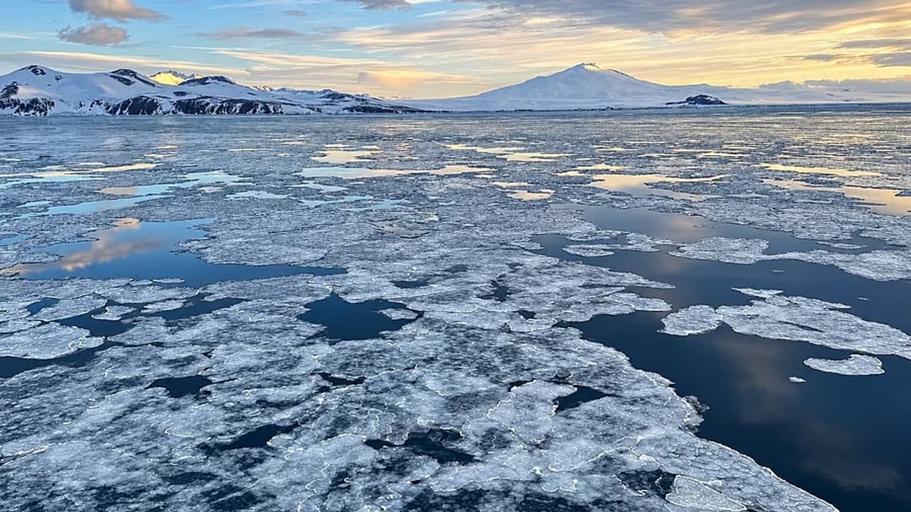 antarctic sea ice decline antarctic sea ice decline