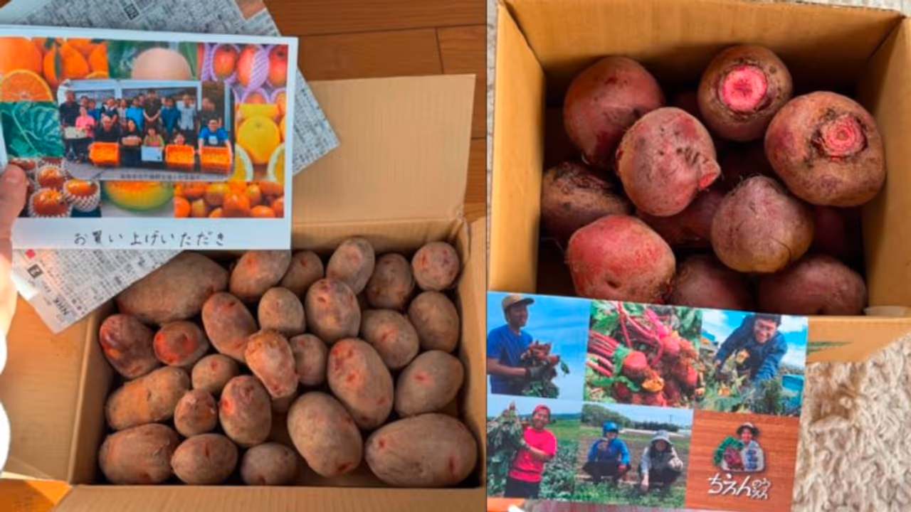 Japan's Unique Farming Practice