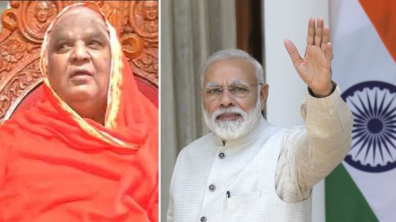 Kodi Mutt Seer Kodi Mutt Seer