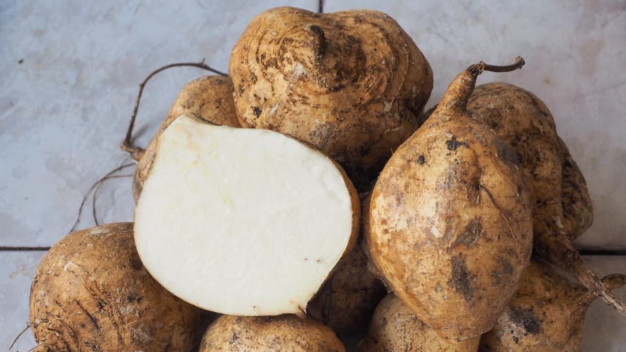 health tips 5 health benefits of eating jicama Mexican turnip or yam beans bsm health tips 5 health benefits of eating jicama Mexican turnip or yam beans bsm
