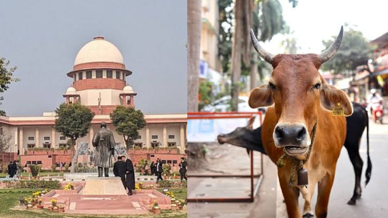 Supreme Court Supreme Court