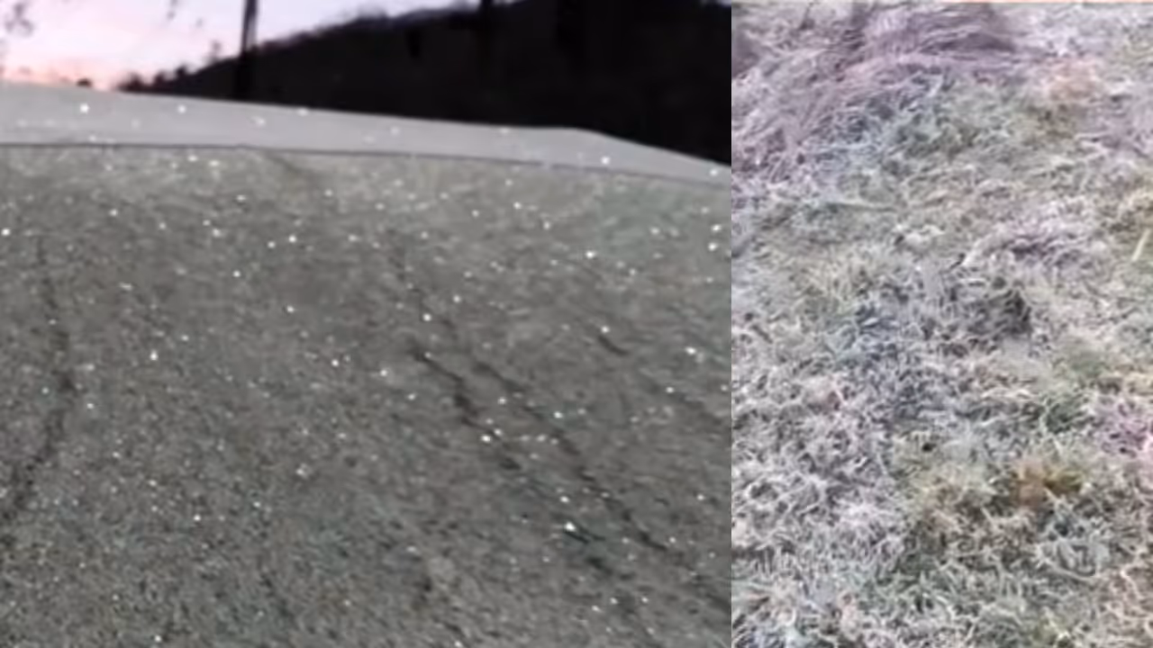 cool munnar cool munnar