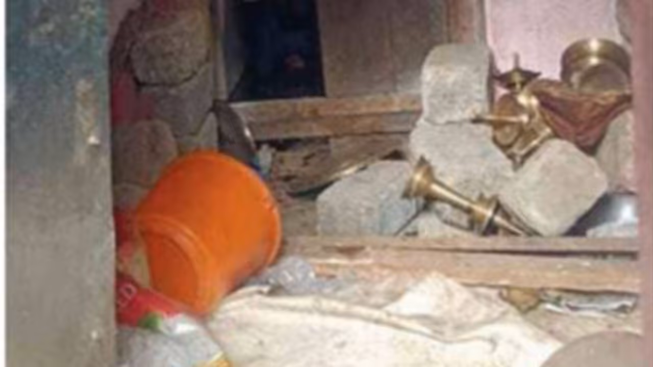 Bear attacks Ayyappa temple Bear attacks Ayyappa temple