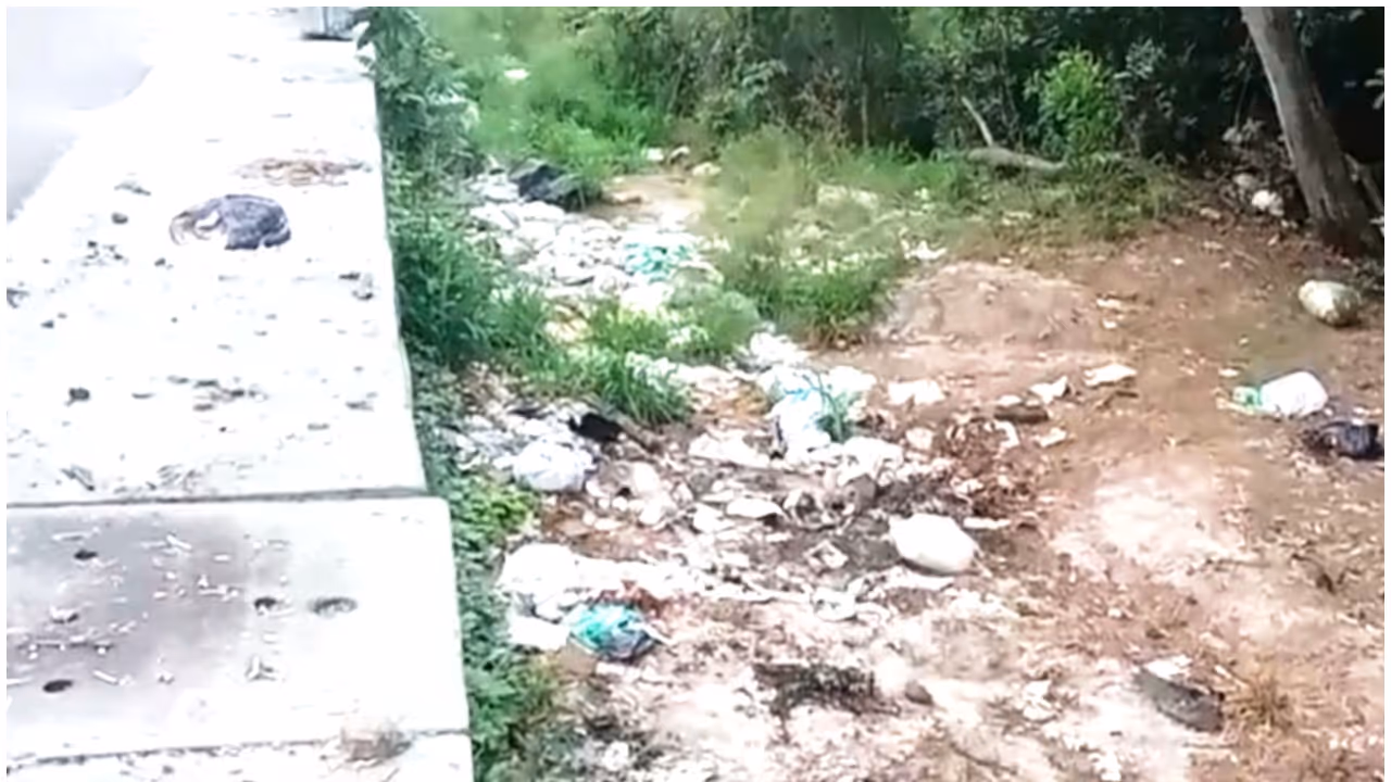 waste management waste management