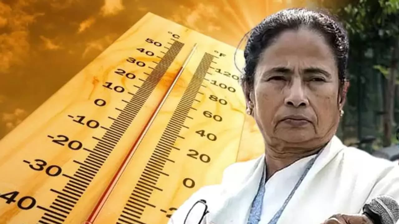 Mamata Summer Mamata Summer