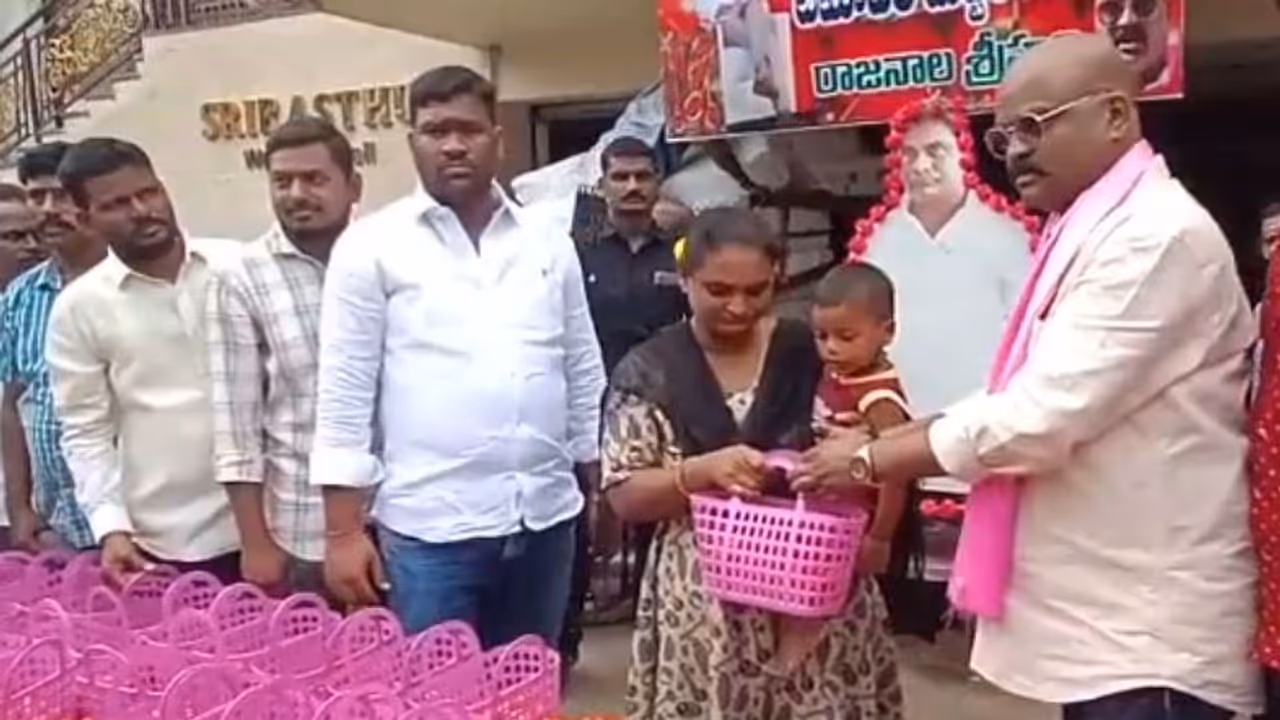 tomatoes distribution