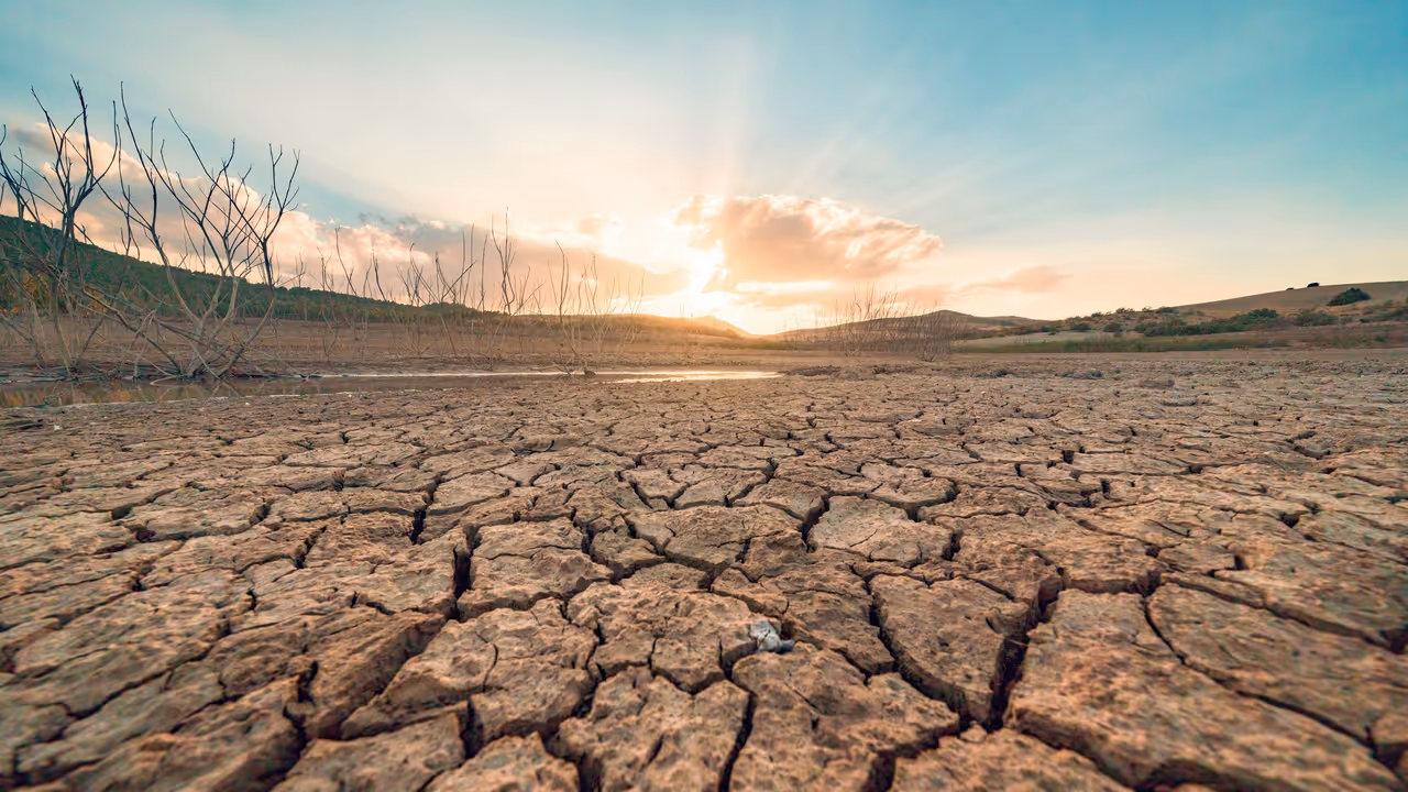 water drought water drought
