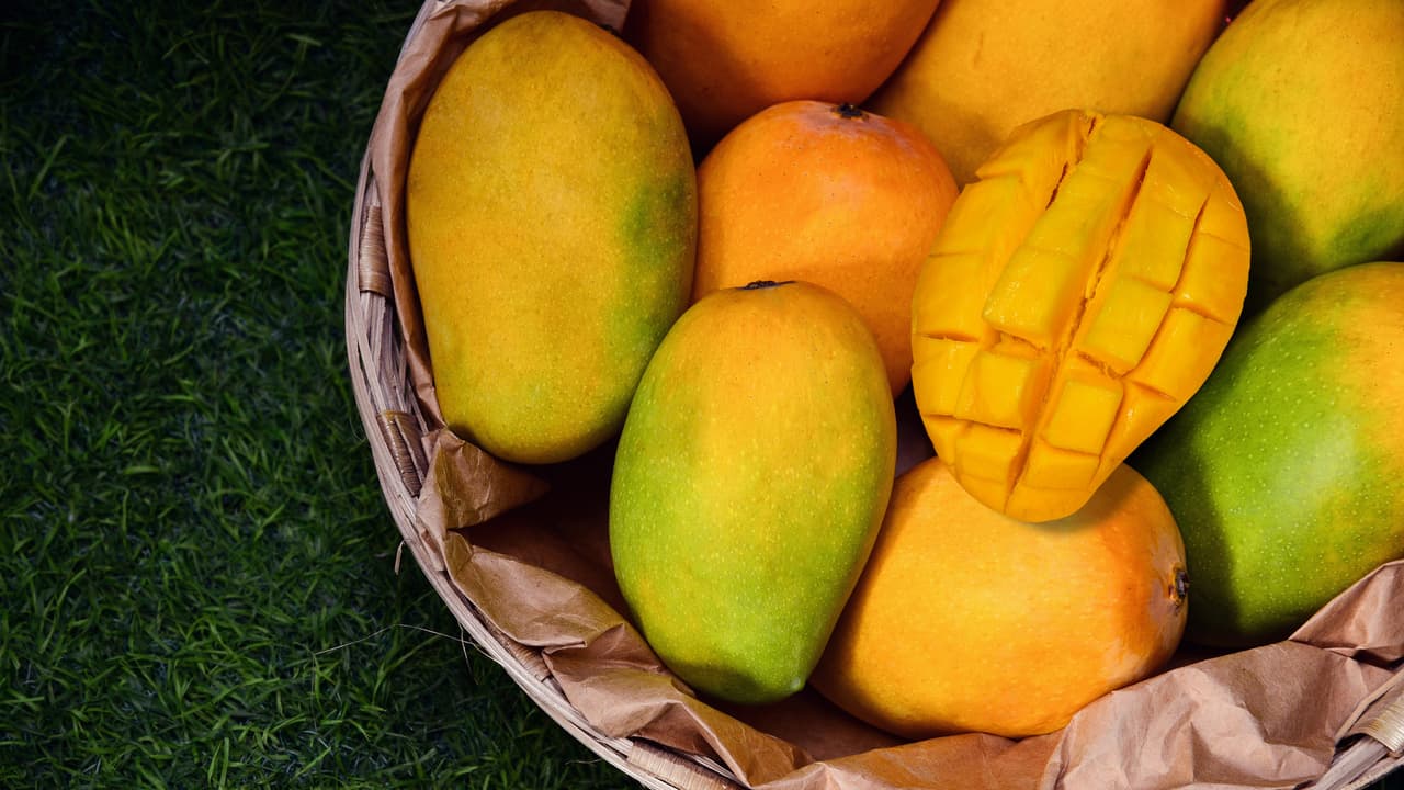 Mango
