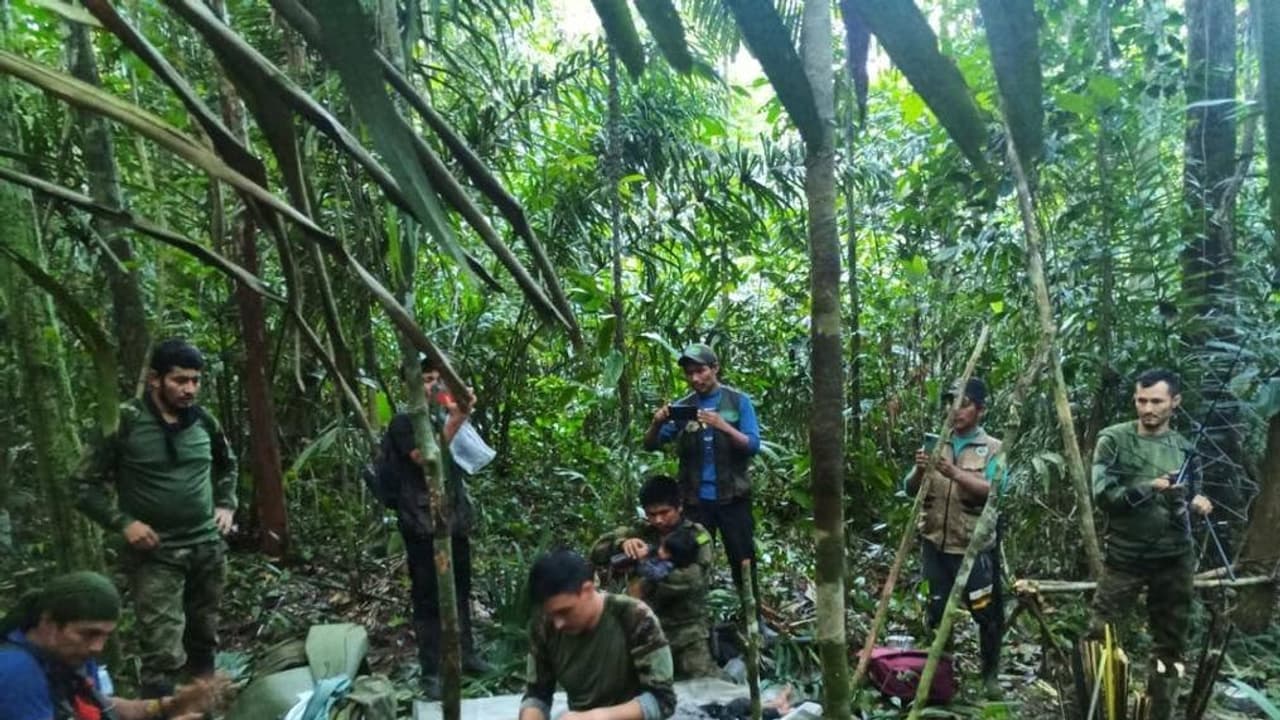 colombia news colombia news