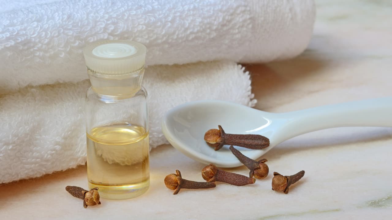 clove oil 