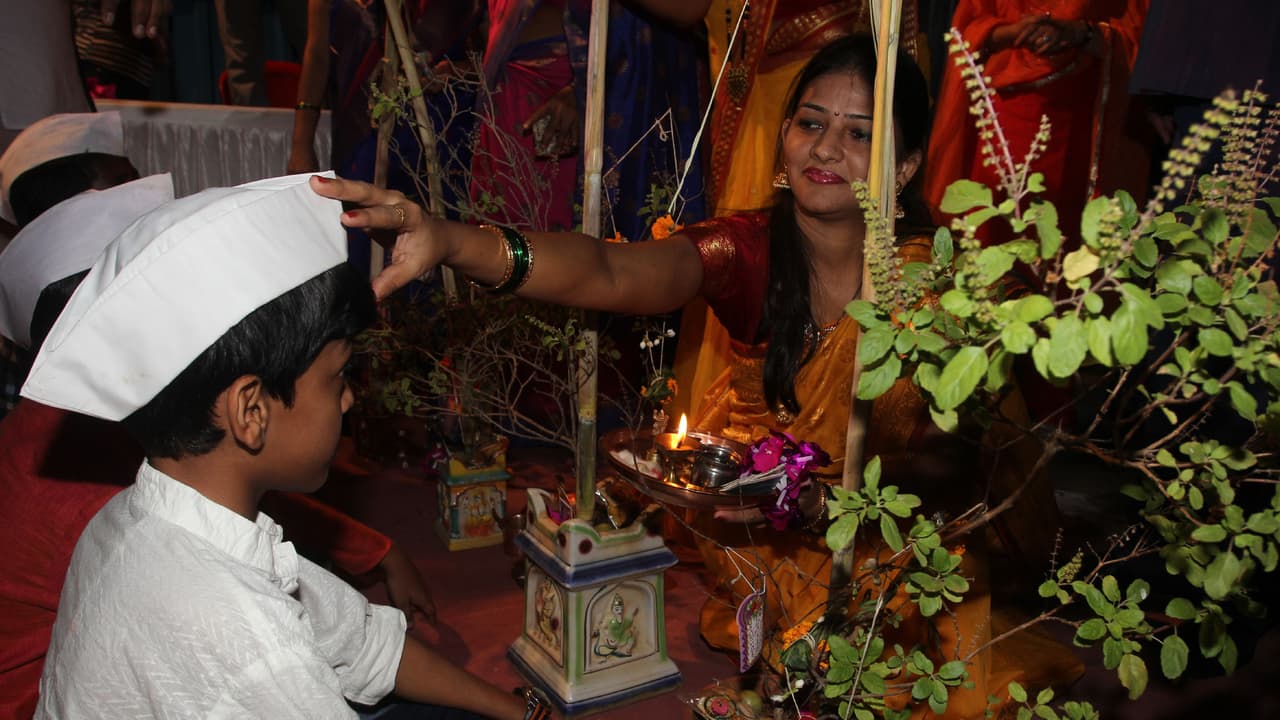 Tulsi Vivah Celebration Tulsi Vivah Celebration