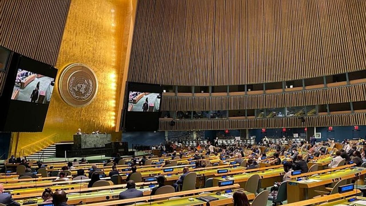 UN General Assembly