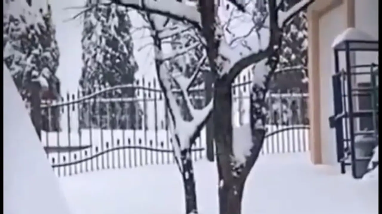 California snow storm California snow storm