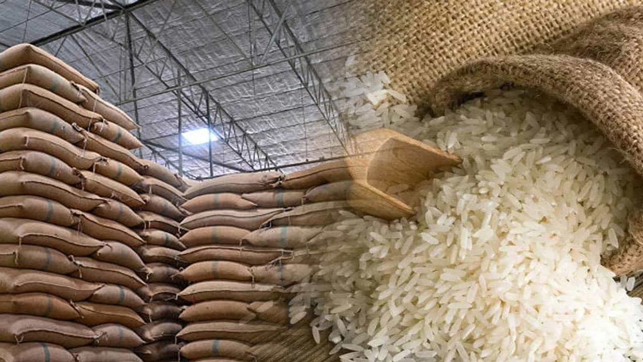 Genetically Modified Rice Genetically Modified Rice