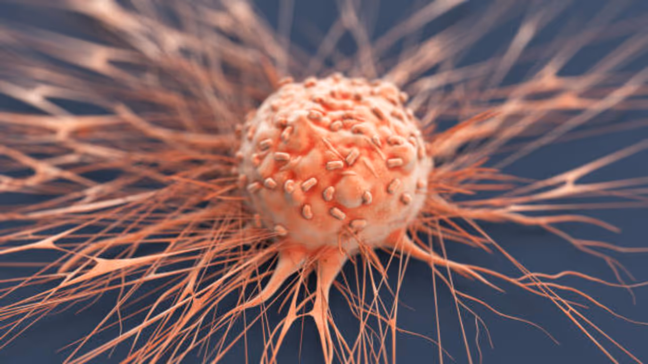 Cancer Cells Cancer Cells