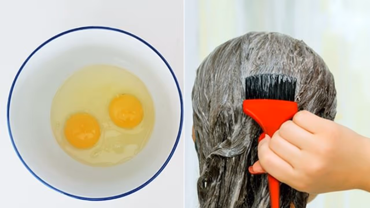egg hair egg hair