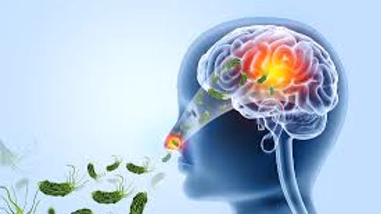 Amoebic Meningoencephalitis Amoebic Meningoencephalitis