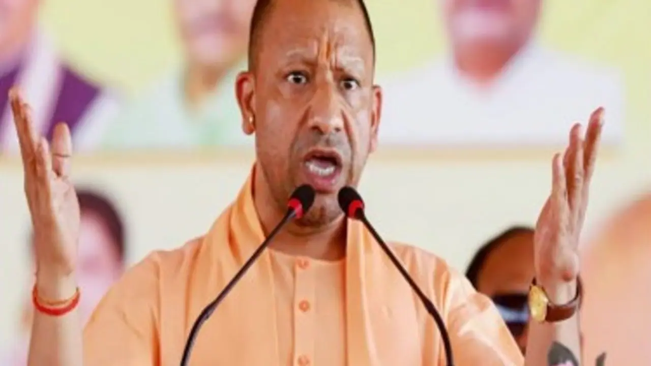 yogi 001.jpg yogi 001.jpg