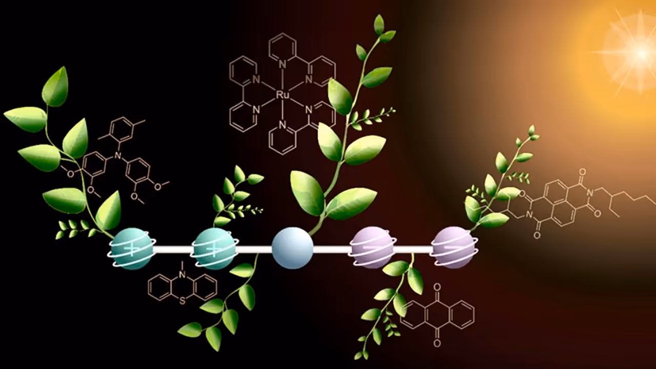 Scientists Find 'Plant Inspired Molecule' To Turn Sunlight Into Fuel