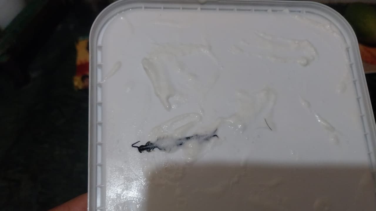 viral video Frozen insect in Amul ice cream ordered online watch horrifying video bsm