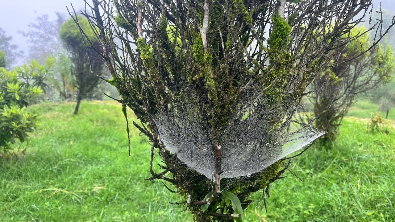 Offbeat Darjeeling destination Chimney village tour details