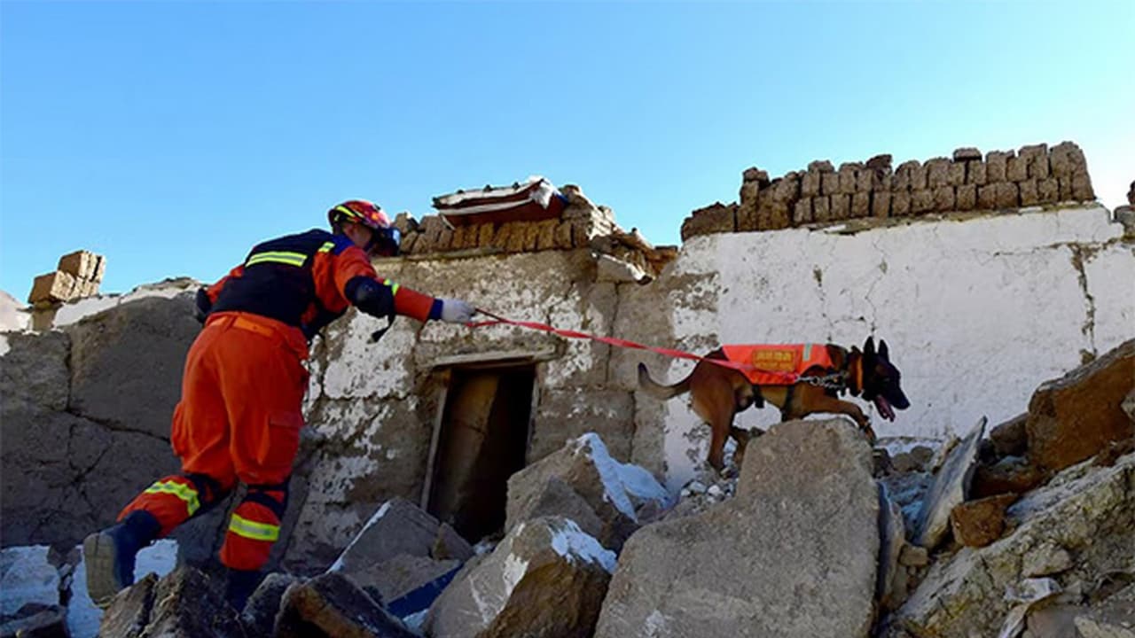 Bhutan Hit by 3 9 Magnitude Earthquake in Active Seismic Zone