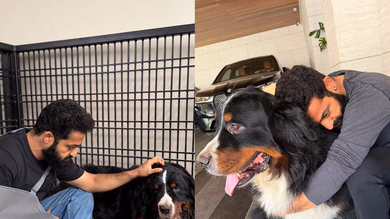 Jr NTR Pens Heartfelt Tribute to Pet Dog Bagheera Amidst Surgery Recovery Jr NTR Pens Heartfelt Tribute to Pet Dog Bagheera Amidst Surgery Recovery