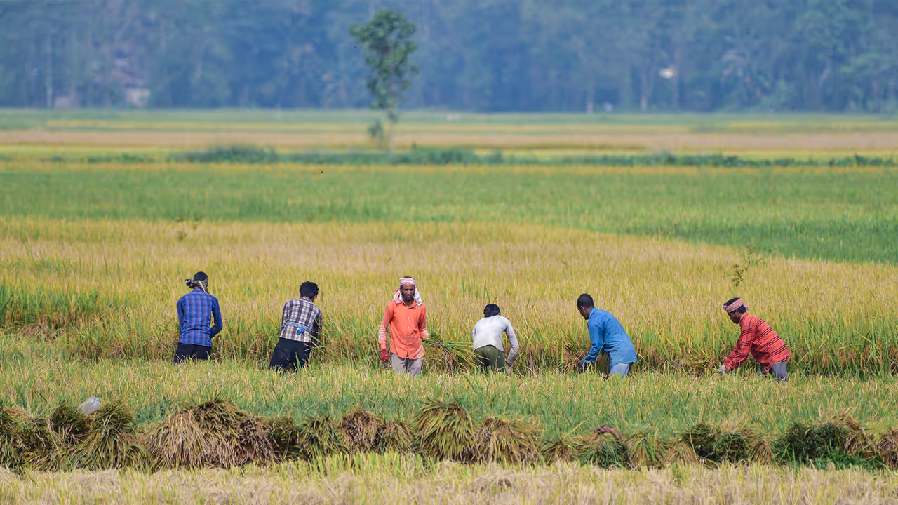 El Nino and Monsoon Deficit Could Spike Indias Inflation to 5 5 Percent Warns Union Bank El Nino and Monsoon Deficit Could Spike Indias Inflation to 5 5 Percent Warns Union Bank