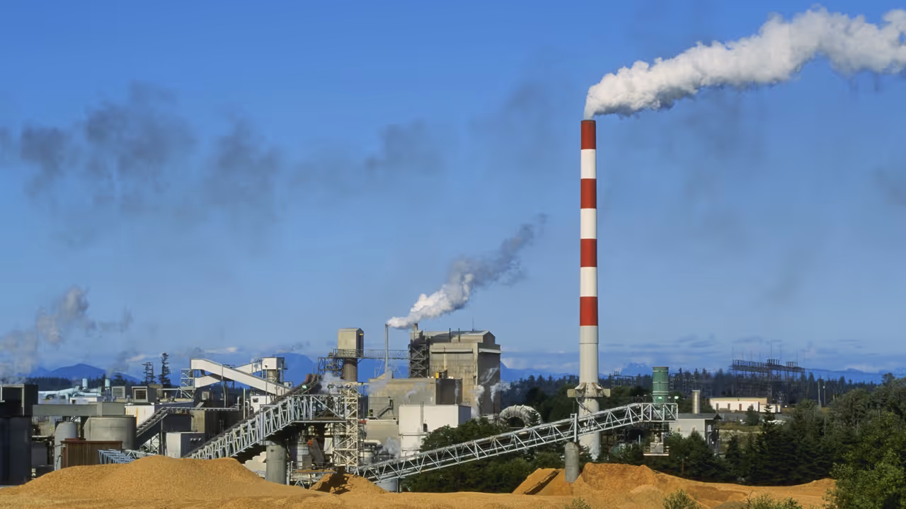 Paper mill Paper mill