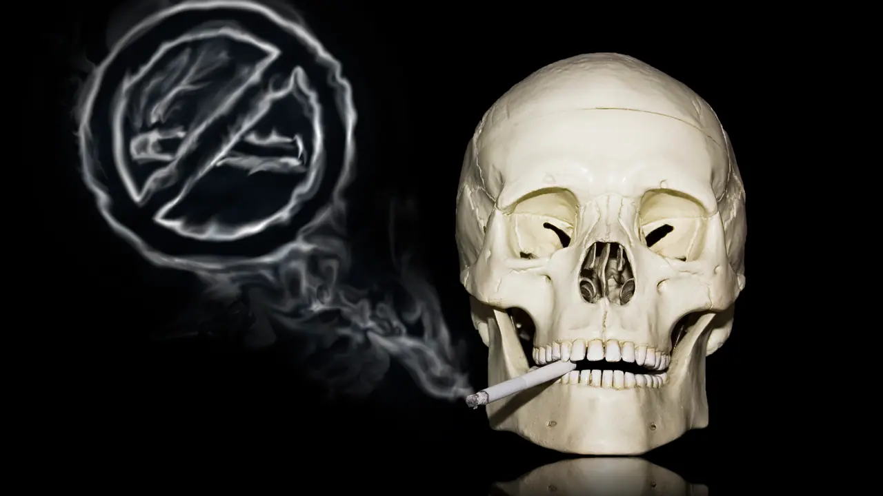 Lung Cancer Lung Cancer