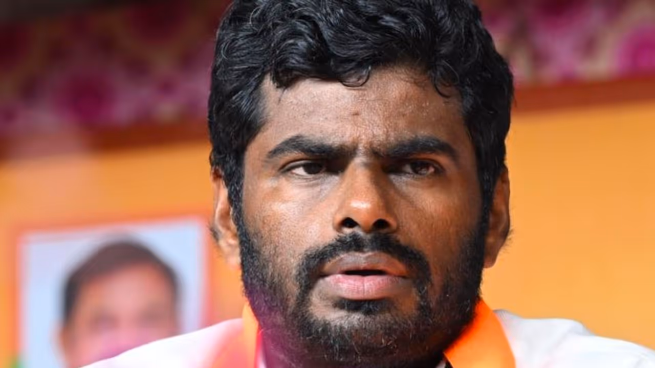 Annamalai on tamil nadu BJP