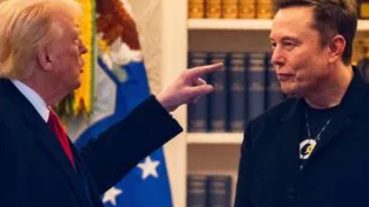 trump musk