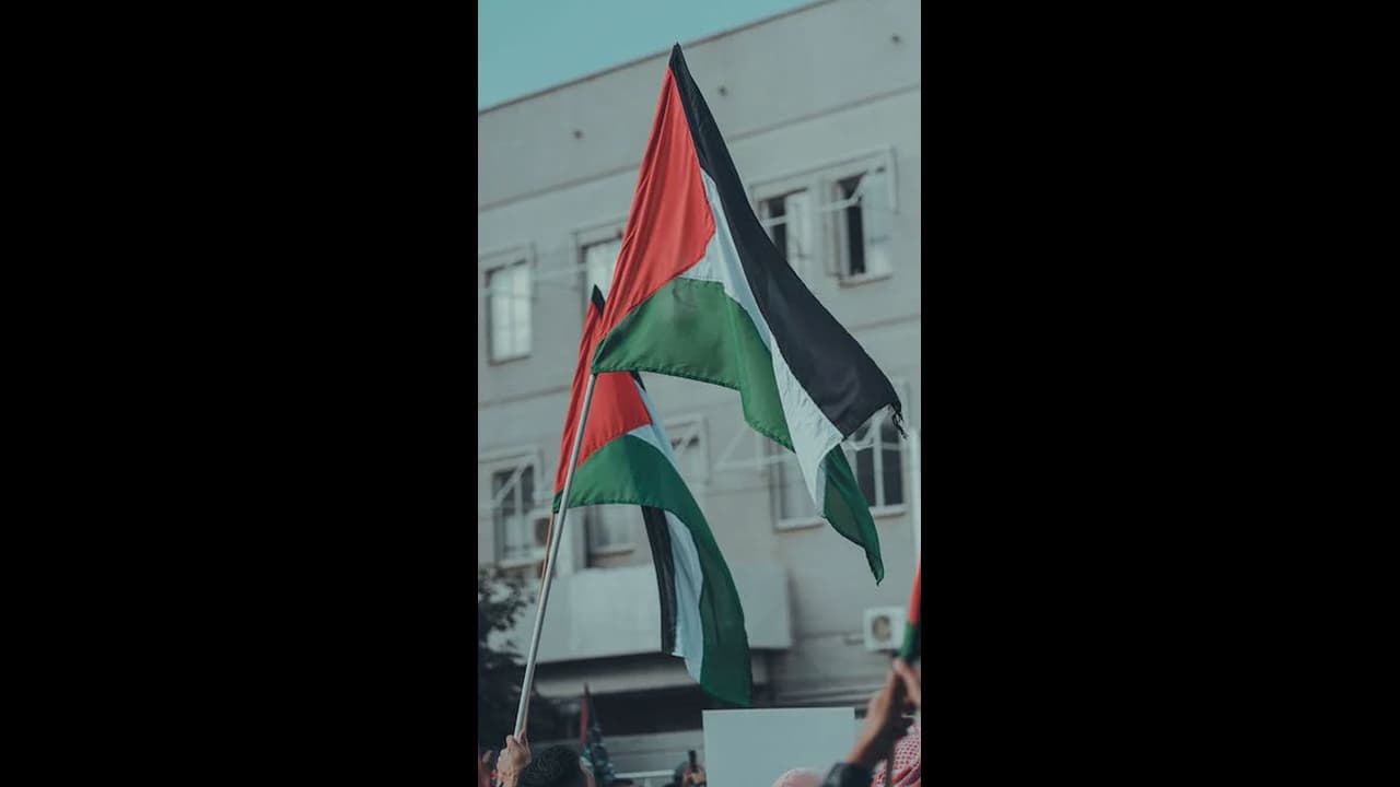 palestine flag
