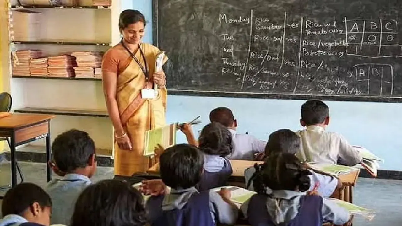 primary school teacher