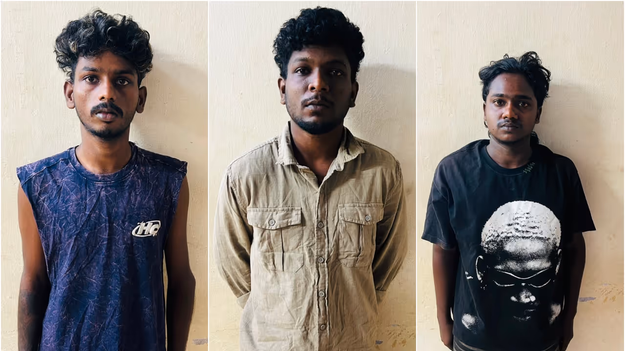 arrest arrest