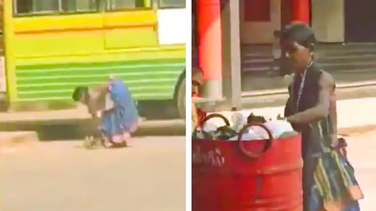 Lady Fruit Seller of Karnataka Ankola 