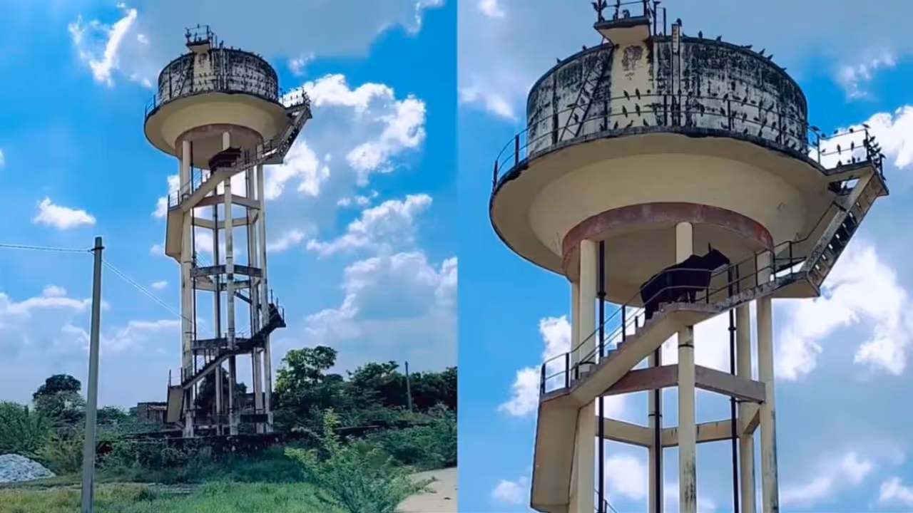 cow climbs 60 foot water tank in Ajmer