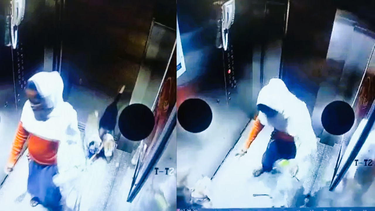 woman thrashing dog viral video woman thrashing dog viral video