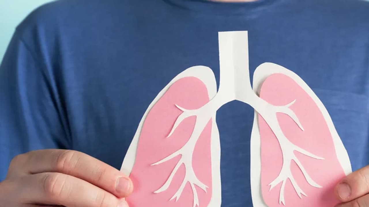 Lungs Lungs