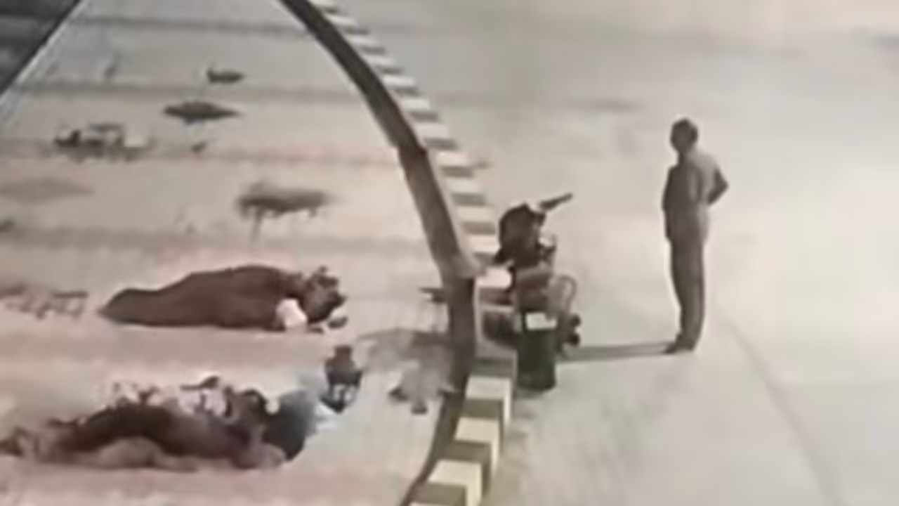 Colachel Sexual Assault Colachel Sexual Assault