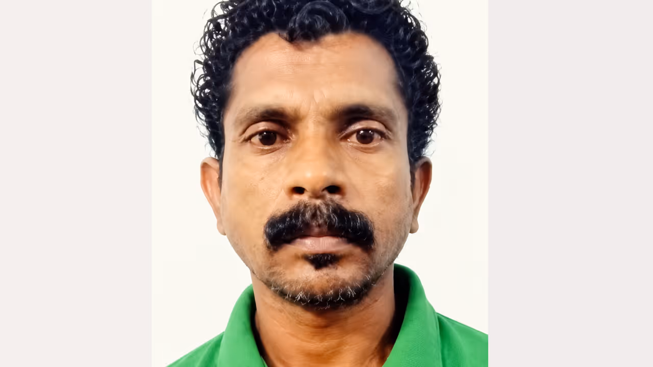 husband killed wife verdict husband killed wife verdict