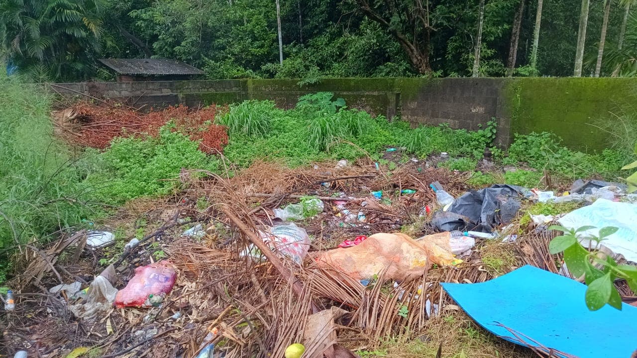 മാലിന്യം മാലിന്യം