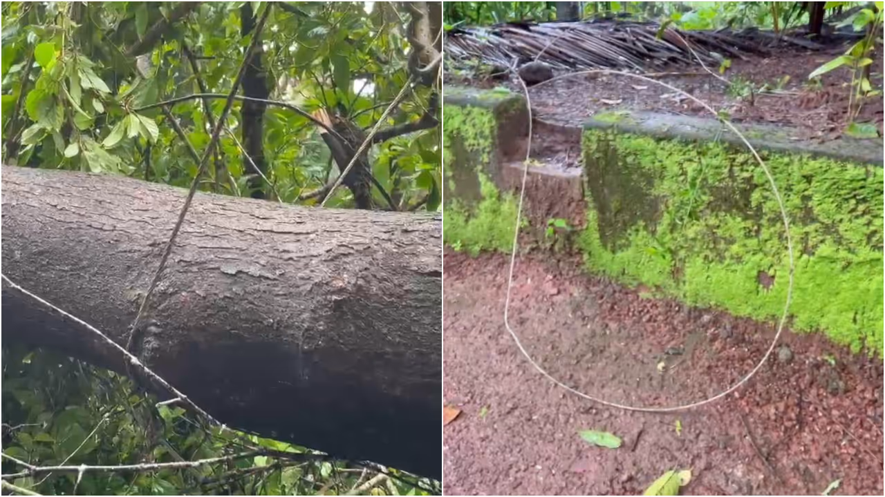 vadakara shock death 